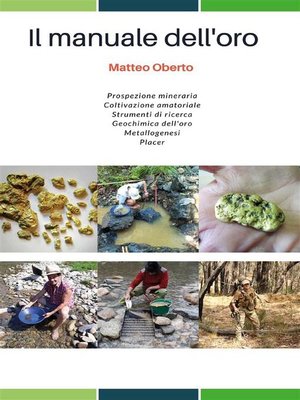 cover image of Il manuale dell'oro